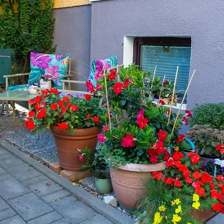 Appartement Casa Wendl *